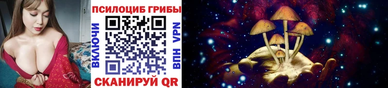 где купить наркоту Верхоянск Галлюциногенные грибы Magic Shrooms